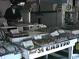 D10-05-Camarones.jpg (16384 bytes)
