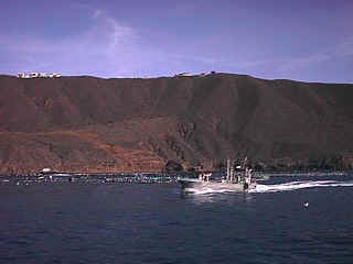 D11-02-Fishingboat.jpg (73728 bytes)