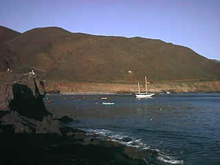 D13-02-SeaStarFromCliffs.jpg (73728 bytes)