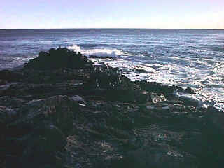 D13-05a-SeagullRock2Doctored.jpg (86714 bytes)