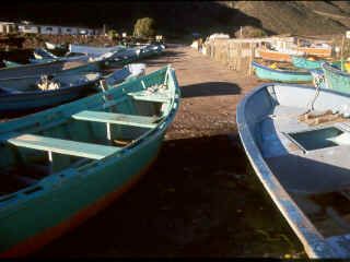 R2-32-ColoredBoats.jpg (130032 bytes)