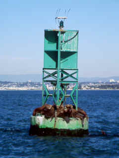 R3-12-GreenSealBouy.jpg (114318 bytes)